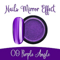 09 Purple Angle.png